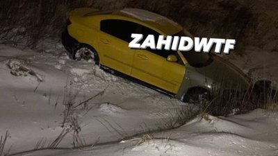 На Львівщині автомобіль злетів з дороги (ФОТО)