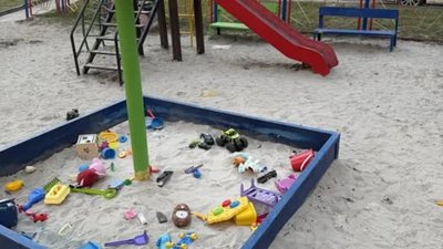 У Львові коти та собаки забруднюють дитячий майданчик