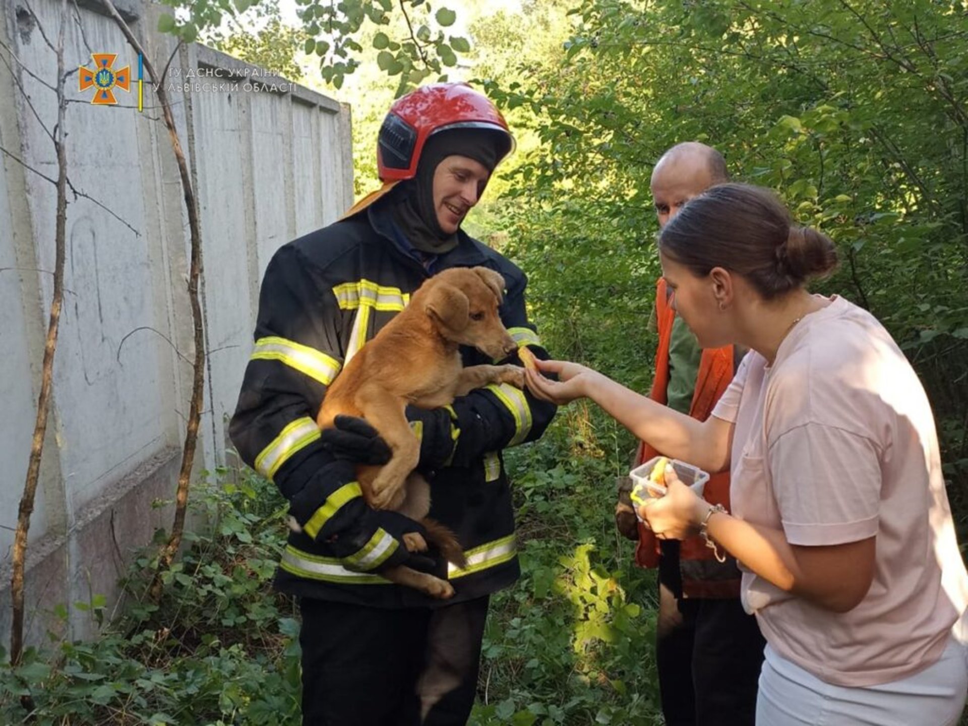 Вранці у Львові рятувальники врятували рудого хвостика