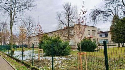 У Львові у дитсадку висадили 6 червоних кленів
