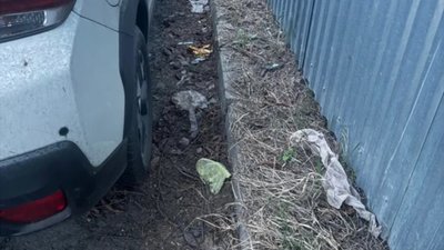 У Львові не прибирають вулиці