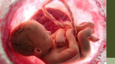 Українки від початку війни народили у Польщі майже 3 тис дітей