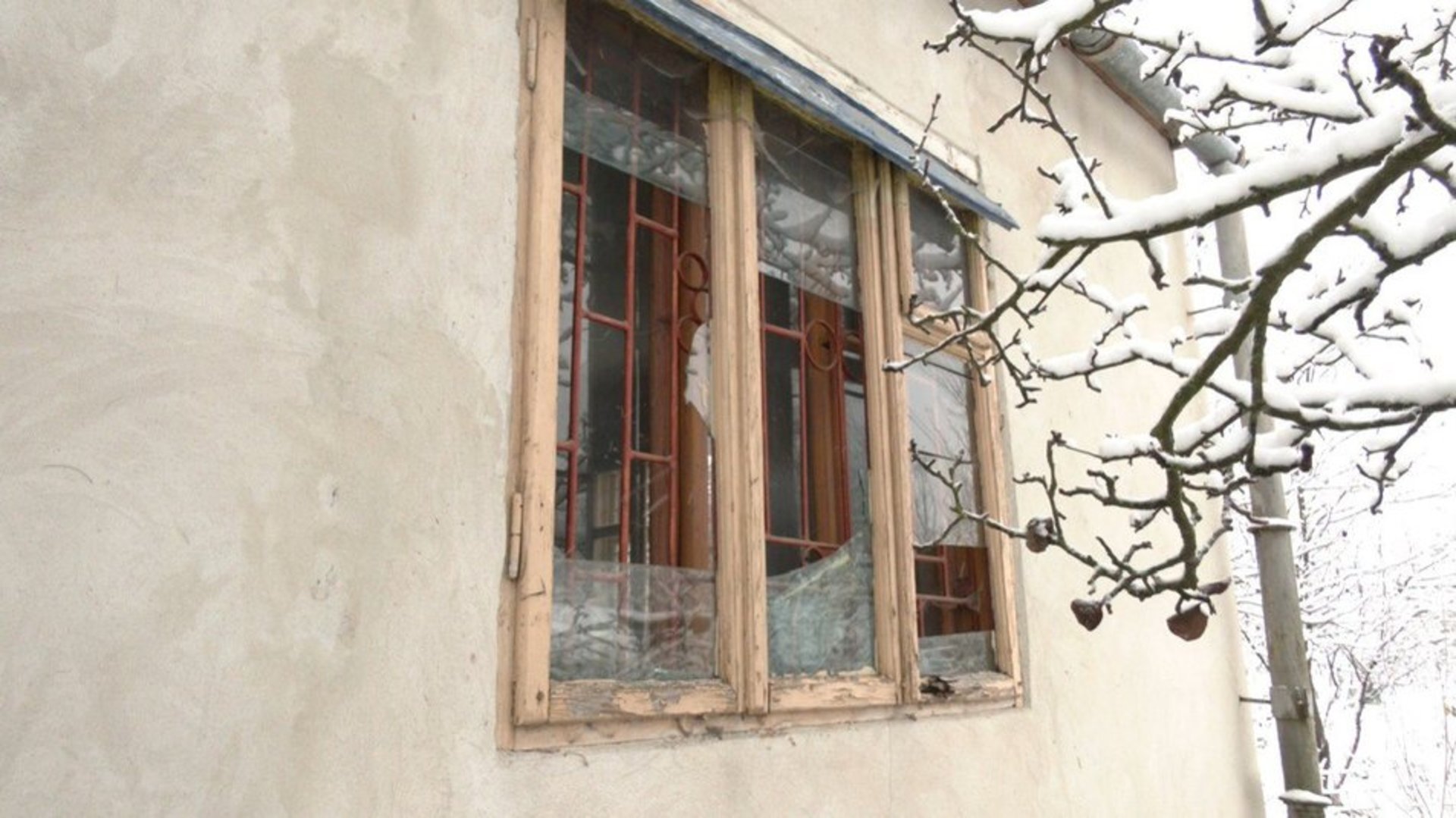 На Львівщині притулок для тварин пошкодило вибуховою хвилею