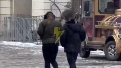 У центрі Львова вигулювали єнота