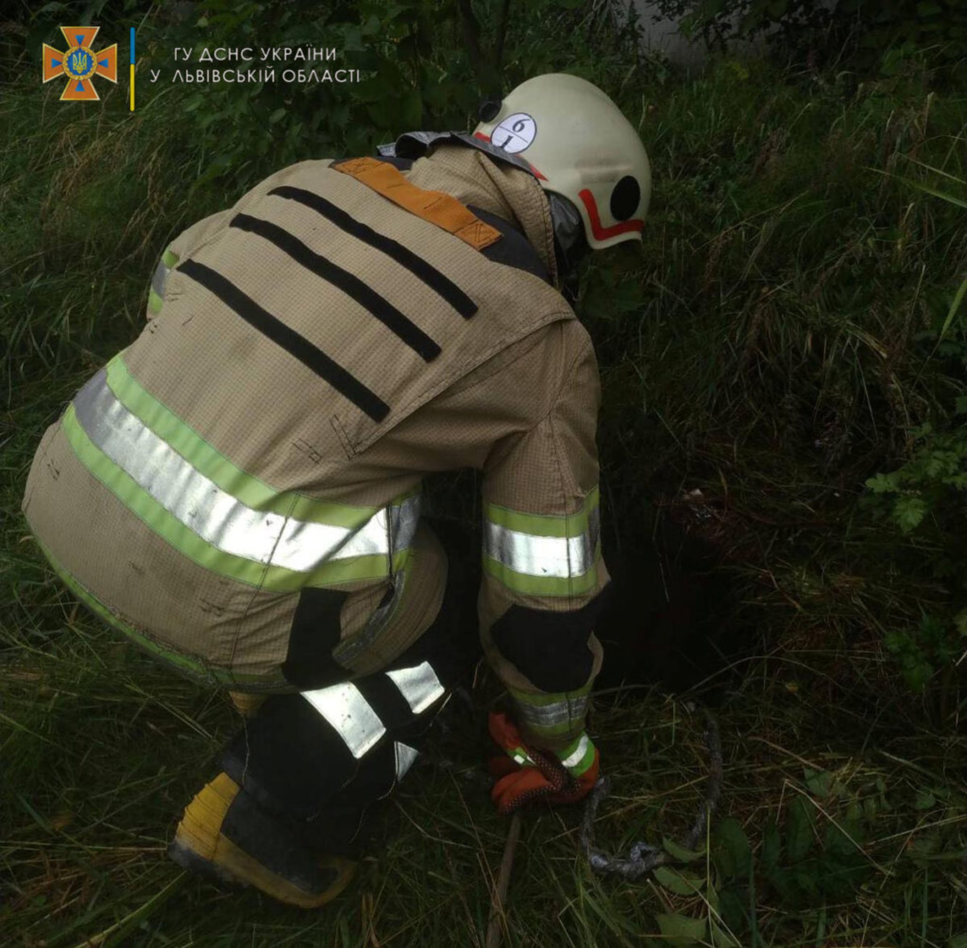 У Бориславі собаку витягнули із каналізаційного колодязя