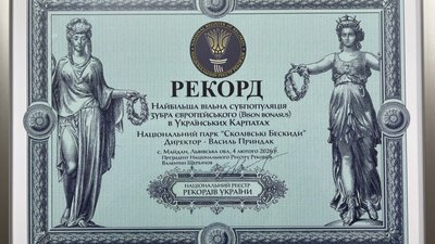 На Львівщині зареєстрували рекордну кількість зубрів