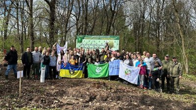 На Львівщині висадили ще майже 180 тисяч саджанців різних порід дерев