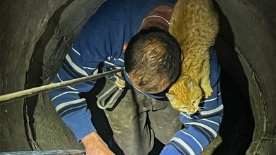 На Львівщині рятували господаря і кота