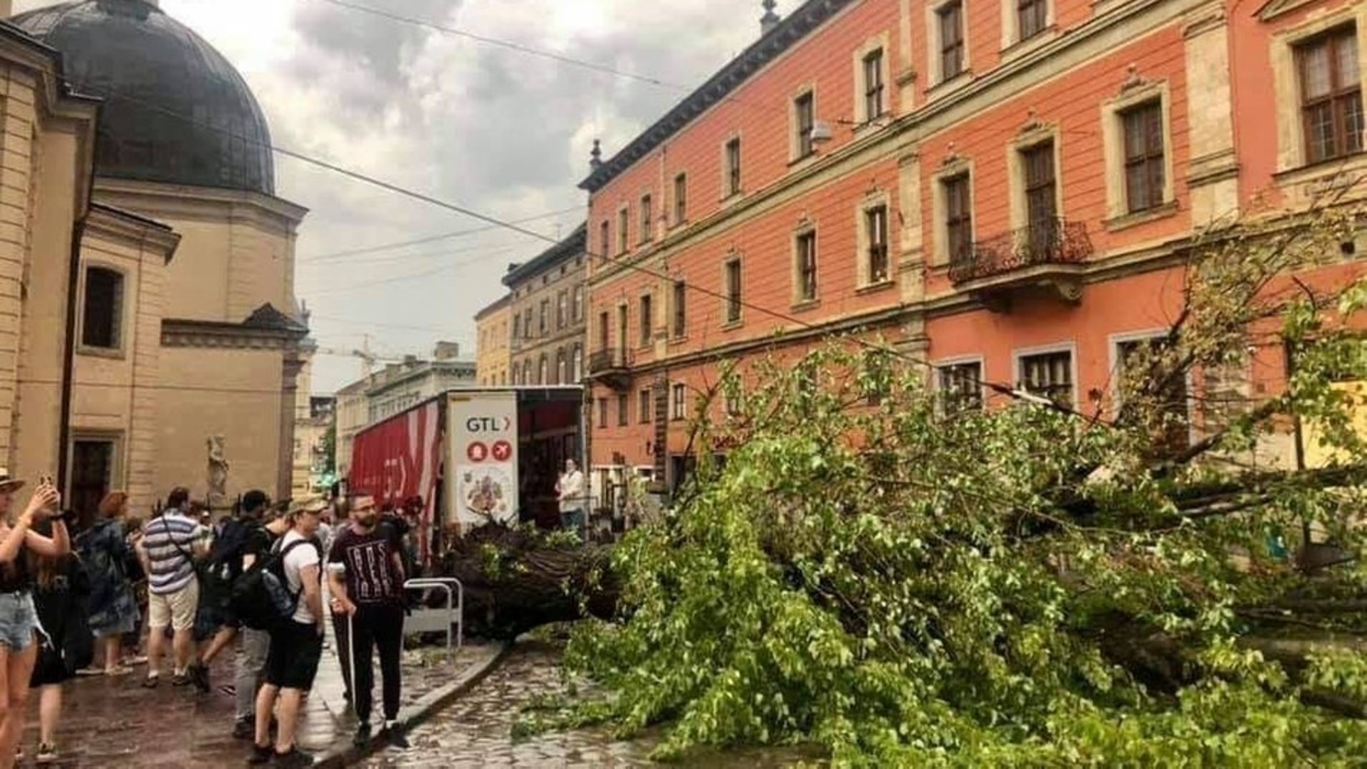 У Львові буревій пошкодив п'ять історичних дерев