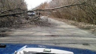 На Львівщині невідомі кидають під колеса автомобілів гілки з дерев (ВІДЕО)