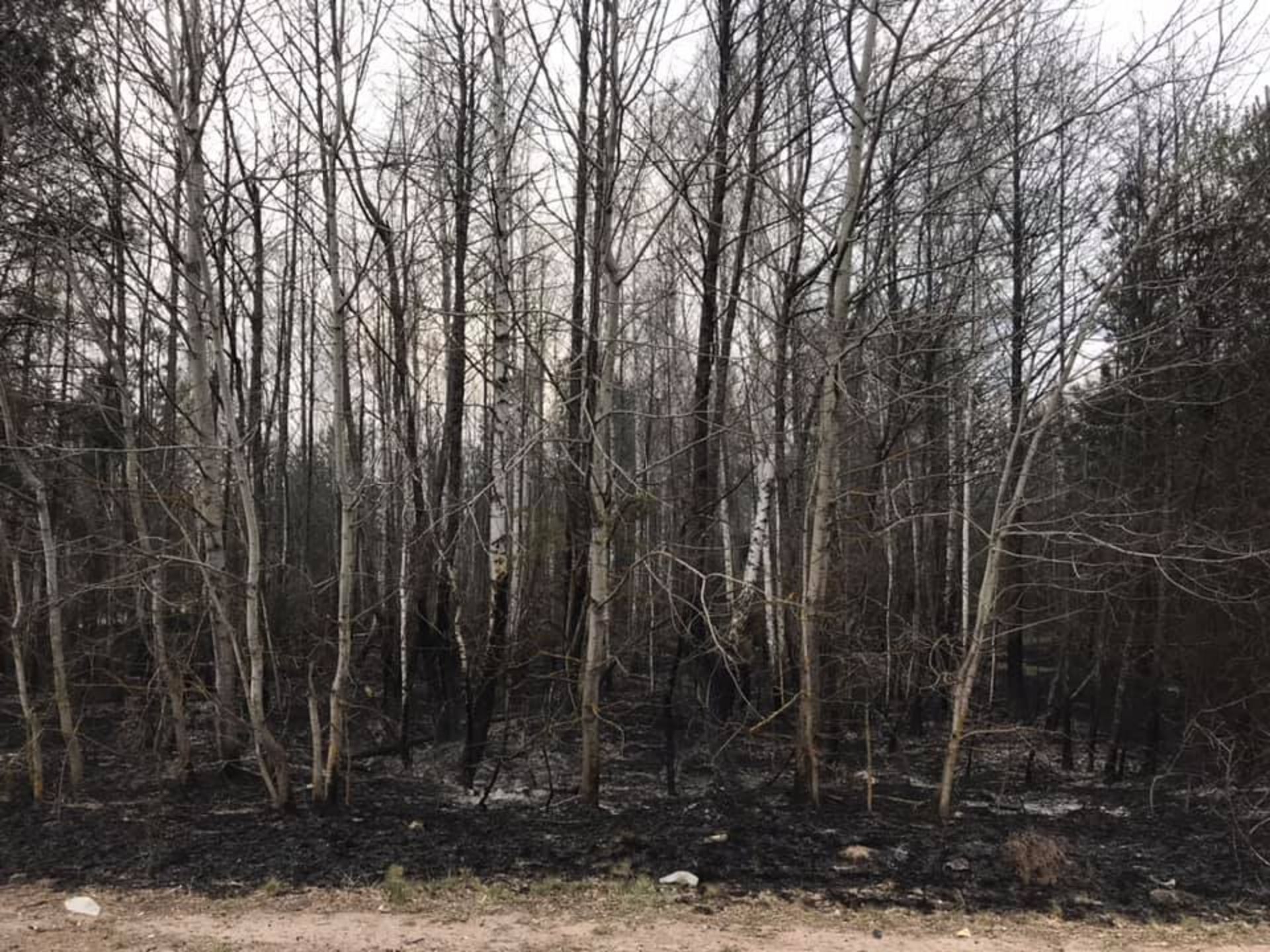 Як на Житомирщині вигоріли села. Фото: Денис Казанский.