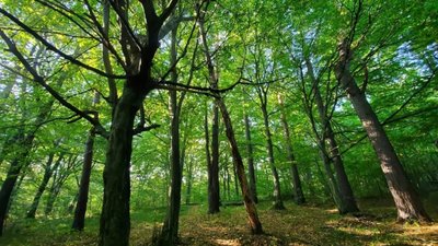 У Львові створили два нові заповідники