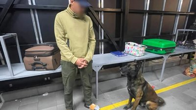 На Волині службові собаки двічі допомогли виявити наркотики