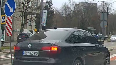 У Львові водій не пропустив жінку на переході
