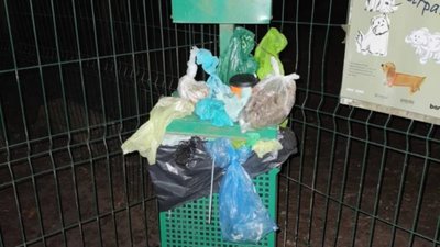 У центрі Львова не прибирають станції для собак (ФОТО)