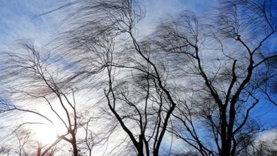 У Львові на завтра синоптики прогнозують значні пориви вітру