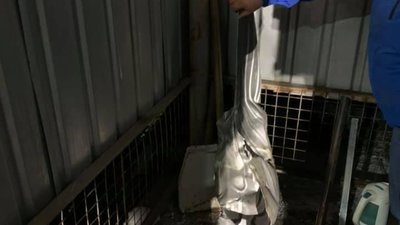 У військовому госпіталі ім. Ю.Липи заперечили, що у медичному закладі стався вибух