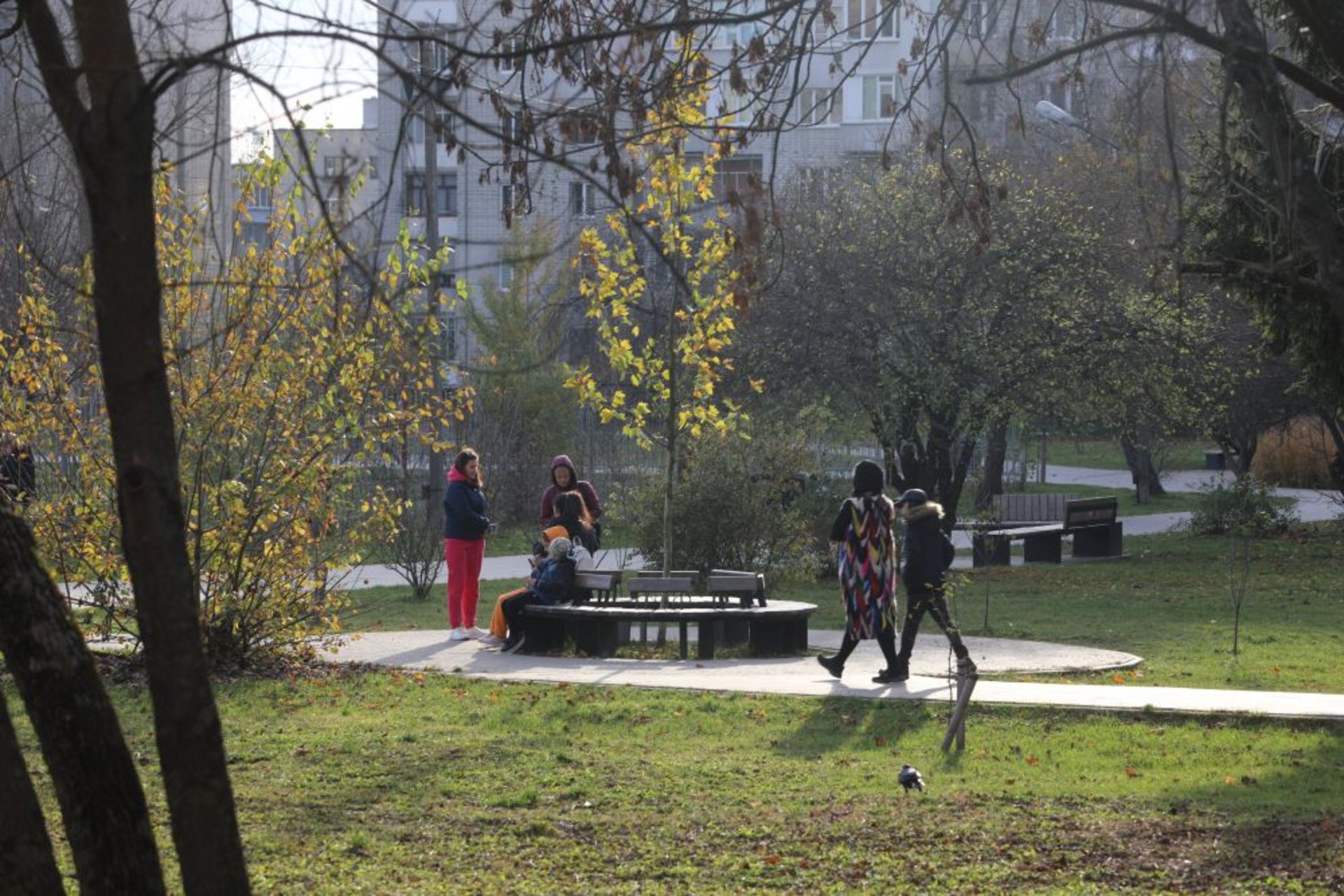 У Львові на Кульчицької, 18 залишиться сквер