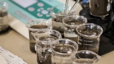 У Добротвірському водосховищі «зварилася» риба