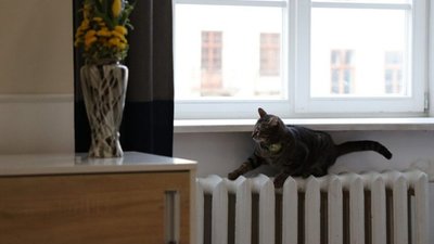 Садовий знову нагріє львівʼян