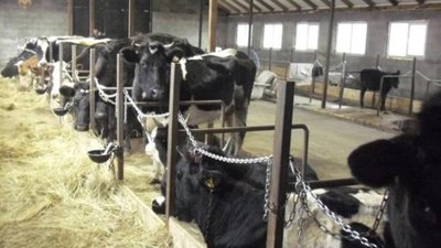 На Львівщині відкрили ще одну сімейну ферму