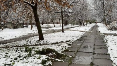 У Львові двірники не чистять сніг