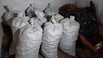 У Музеї Франка на Львівщині виростили понад тонну картоплі для ЗСУ