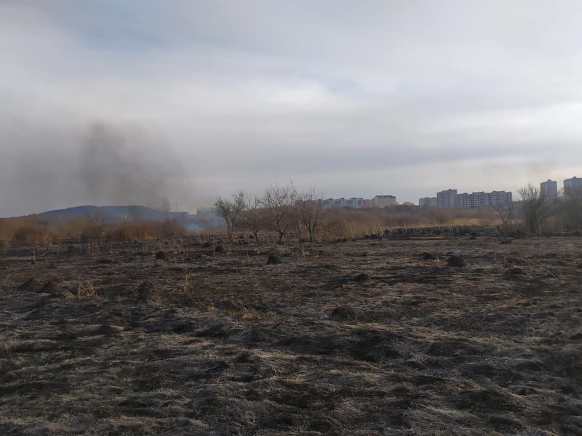 Біля Львова горіла суха трава, фото ДСНС