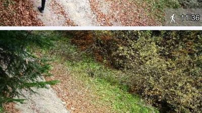 На Львівщині помітили «новий» прикордонний патруль