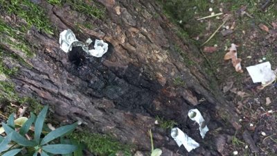 У Львові у парку Святого Івана Павла II Папи Римського вчинили вандалізм (ФОТО)
