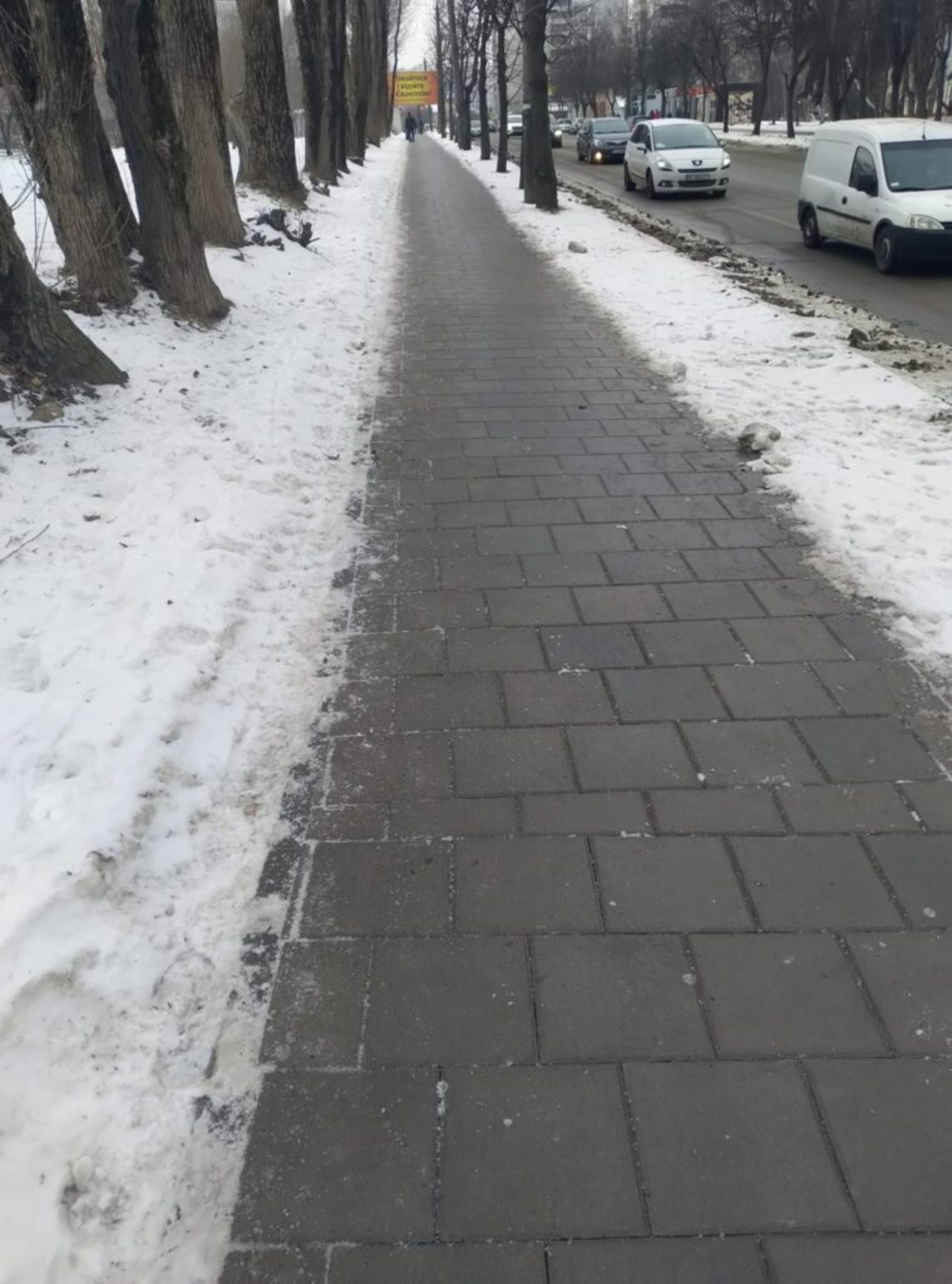 Вулиці Львова перетворилися на суцільну ковзанку