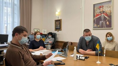 У Львові приватним ветеринарним клінікам виділять кошти на стерилізацію безпритульних котів