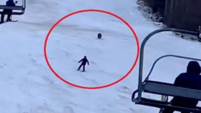 З’явилось відео, як у Румунії ведмідь гнався за лижником (ВІДЕО)