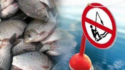 На зимувальних ямах річки Західний Буг до березня заборонено вилов риби