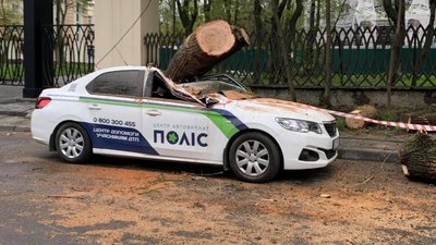 У Львові дерево знищило автомобіль (ФОТО)