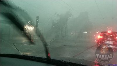 У Львові негода ламає дерева (ФОТО, ВІДЕО)