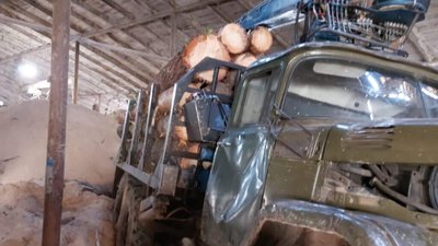 Львівщина потрапила до списку резонансних кримінальних проваджень у лісовій сфері в 2020-2021 роках (ФОТО)
