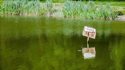 У Львові фіналіст шоу «Голос країни» витяг з озера потопаючого чоловіка (ФОТО)