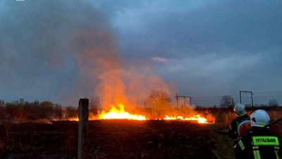 На Львівщині за добу 56 разів палили суху траву
