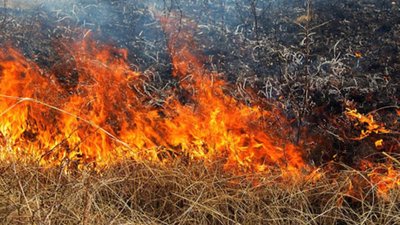 На Львівщині за добу ліквідували 17 пожеж сухої трави