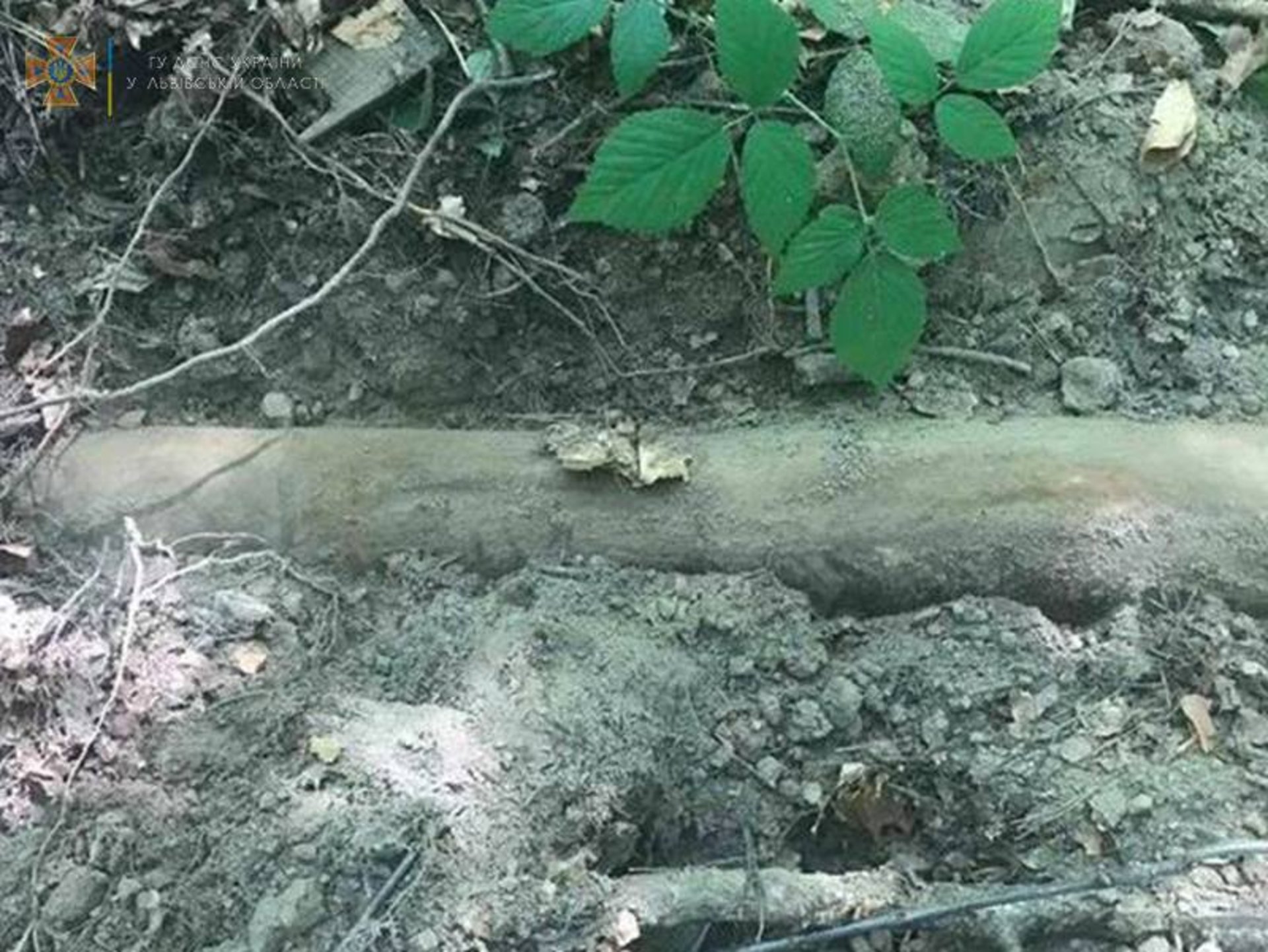 У Яворівському районі знайшли застарілі боєприпаси