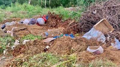 У Львові територію біля дитячого майданчика перетворили на смердючий смітник (ФОТО)