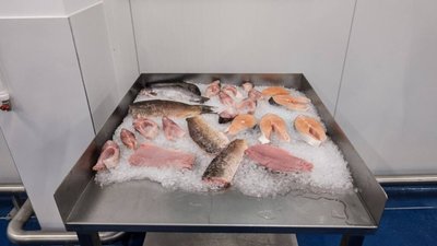 На Львівщині зʼявився сучасний рибопереробний завод