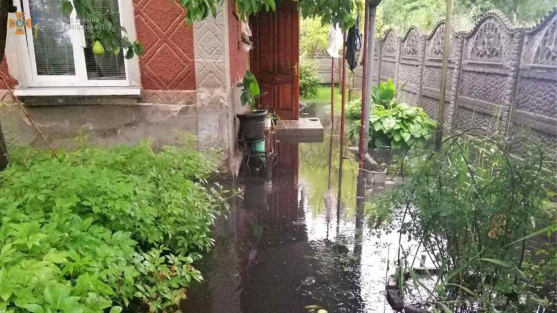 На Львівщині дерево перекрило рух транспорту