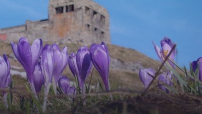 Від підніжжя до вершини гори Піп Іван збудують Хресну дорогу