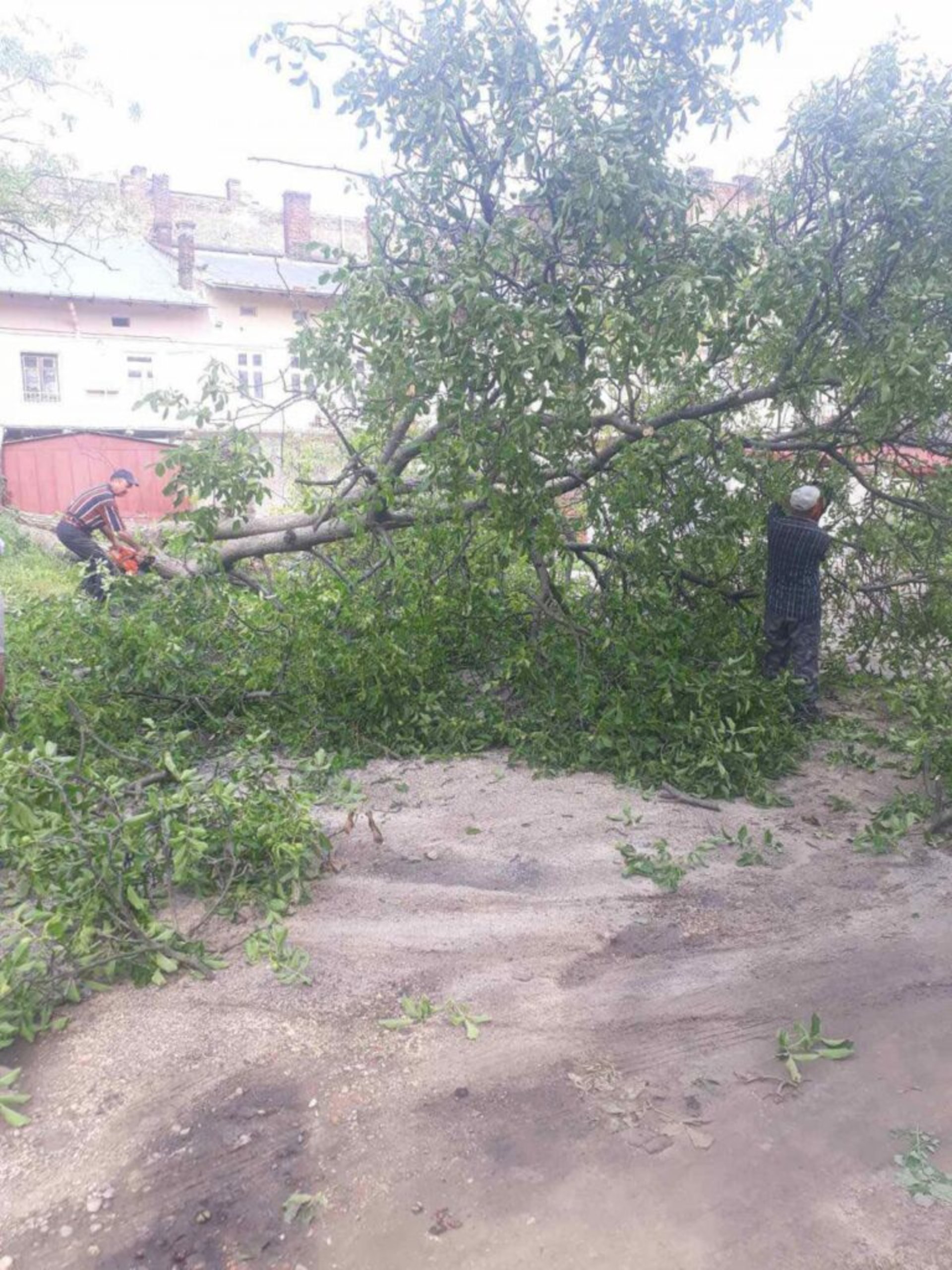 У Львові комунальники продовжують прибирати наслідки негоди, фото ЛМР