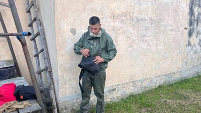 Дрогобич: рятувальники вчетверте за день знешкодили гніздо шершнів