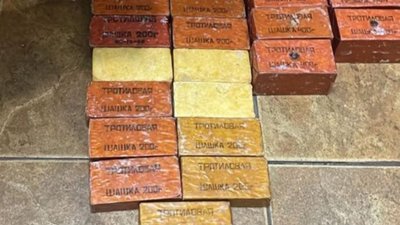 У Києві 22-річна львівʼянка готувала теракт