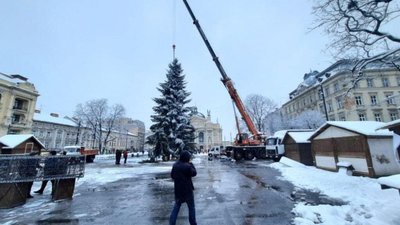 У Львові урочисто відкриють головну ялинку