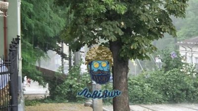 У Львові дерево перекрило проїзд (ВІДЕО)